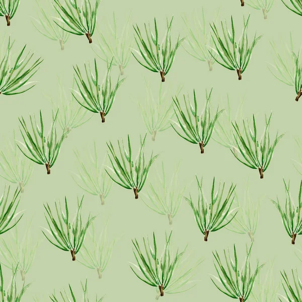 Pine Branch Long Needles Watercolor Seamless Pattern Template Decorating Designs — Zdjęcie stockowe