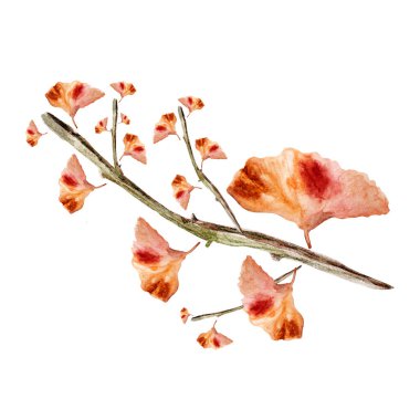 Dry branch with leaves watercolor isolated element
