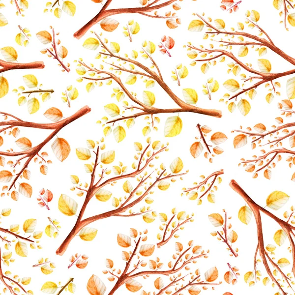 Tree Branches Autumn Garden Watercolor Seamless Pattern Template Decorating Designs —  Fotos de Stock