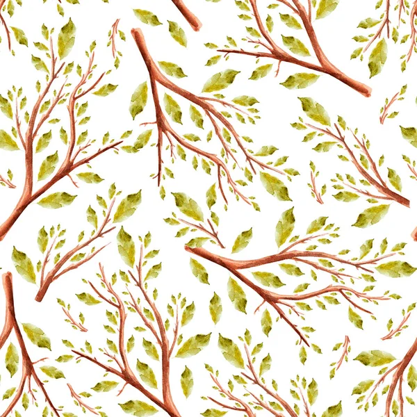 Branches Garden Watercolor Seamless Pattern Template Decorating Designs Illustrations — Stok fotoğraf