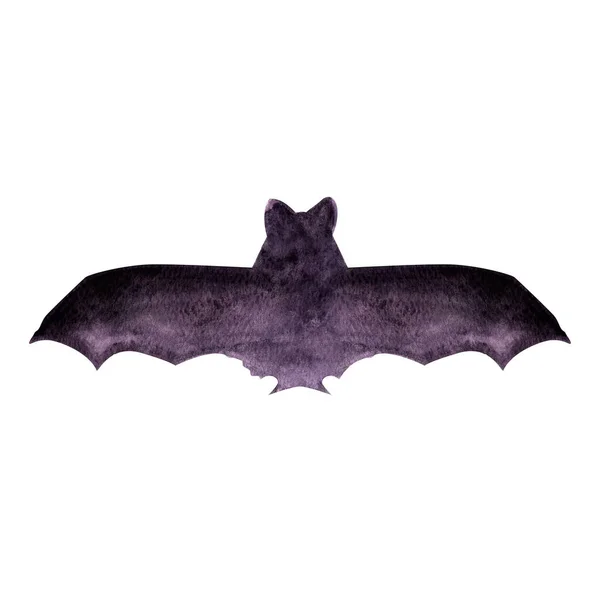 Baterium Stock Photos, Royalty Free Baterium Images | Depositphotos