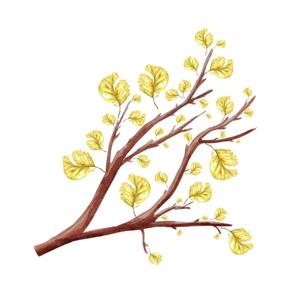 Autumn Tree Yellow Dry Leaves Watercolor Isolated Element Template Decorating — Zdjęcie stockowe