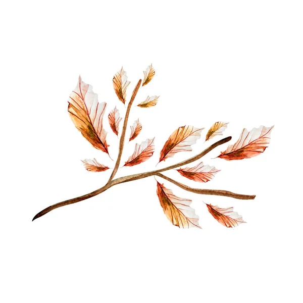 Autumn Leaves Branch Leaves Watercolor Single Element Template Decorating Designs — Stock Fotó