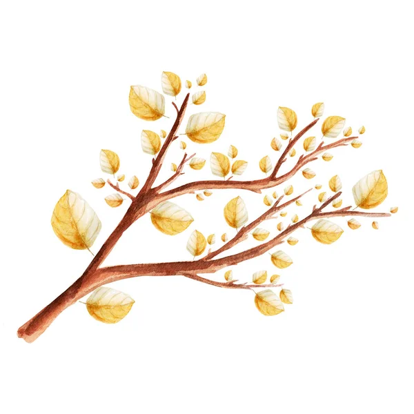 Tree Branch Yellow Leaves Watercolor Single Element Template Decorating Designs — 스톡 사진