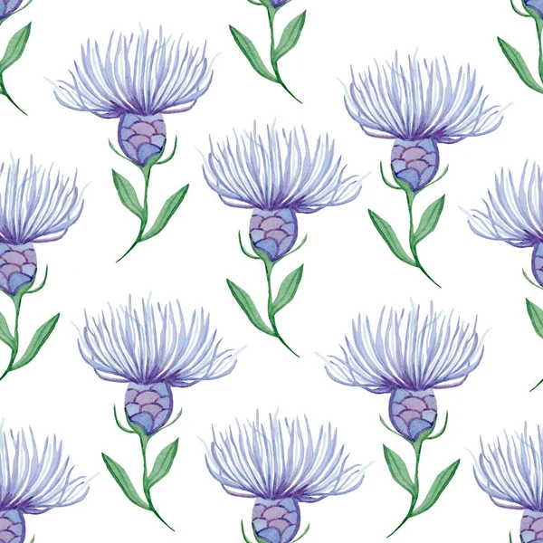 Blooming Field Cornflowers Watercolor Seamless Pattern Template Decorating Designs Illustrations — Stock Fotó