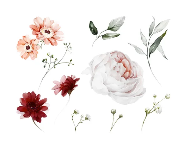 Uppsättning Blommor Och Grenar För Att Skapa Gratulationskort — Stockfoto