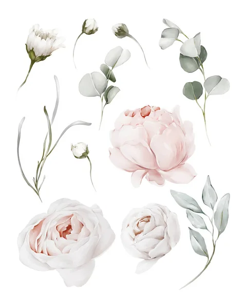 Uppsättning Blommor Och Grenar För Att Skapa Gratulationskort — Stockfoto