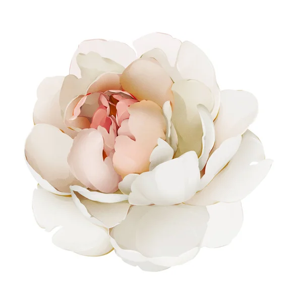 Light peony on a white background. Watercolor style illustration