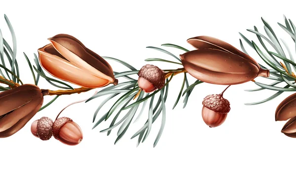 Christmas Border Fir Tree Acorns White Background — Stock Photo, Image