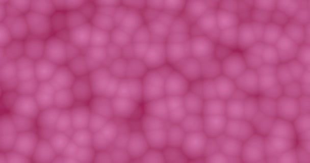 太平洋粉色液体背景 无缝圈 3D动画 理想的使用作为一个凉爽的背景的标题 — 图库视频影像