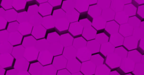 Розовые Шестиугольники Бесшовный Цикл Анимация Идеально Подходит Использования Качестве Холодного — стоковое видео