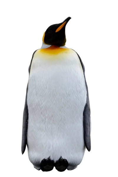 King Pingvin Isolerad Den Vita Bakgrunden — Stockfoto