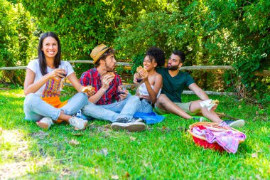 Güneşli bir günde parkta piknik yapan bir grup arkadaş - insanlar mangal yaparken ve dinlenirken eğleniyorlar. Gençler yaz yeşil hlls pikniğinin tadını çıkarıyorlar. Halk konsepti