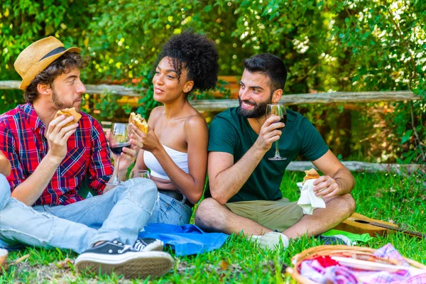 Group of friends having pic-nic in a park on a sunny day - People hanging out, having fun while grilling and relaxing The company of young people enjoys a summer green hlls picnic. People concept