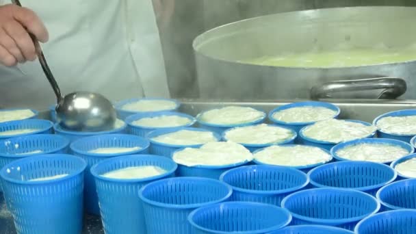 Sýrař Nalévá Ricottu Plastových Forem Proces Výroby Sýra Dílně Mlékárna — Stock video