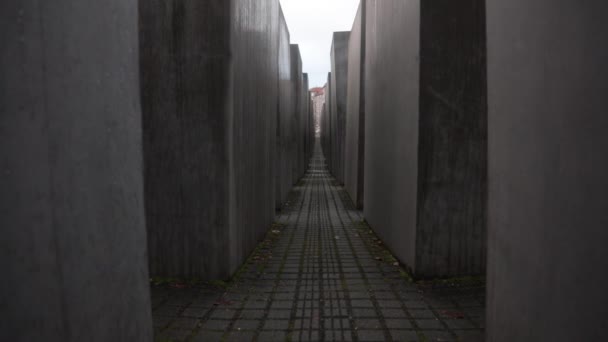 Berlin Germany Jan 2022 Berlin Holocaust Memorial Jewish Victims Holocaust — Stock Video