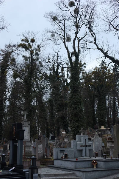 Antiguo Cementerio Cementerio Lychakiv Lviv — Foto de Stock