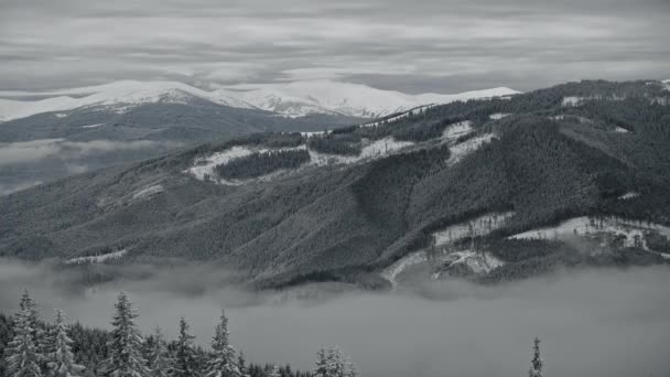 Мальовничий зимовий пейзаж в горах з хмарами зверху і знизу і лісами, вкритими снігом — стокове відео