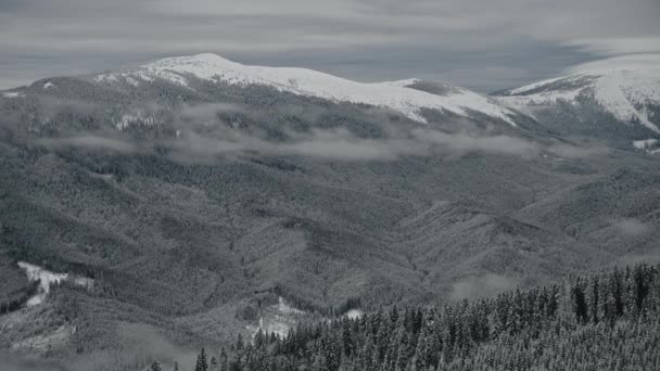 Scenic winter landscape in the mountains with clouds above and below and woods covered in snow — 图库视频影像