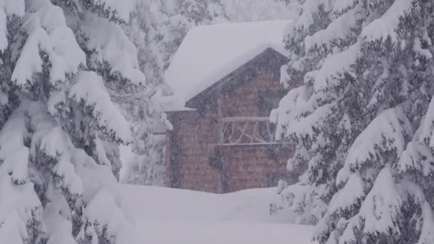 Zoom ottico lento che mostra una casa in legno tra pini ricoperti di neve durante una bufera di neve — Video Stock