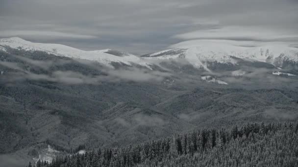 Scenic winter landscape in the mountains with clouds above and below and woods covered in snow — Stock Video