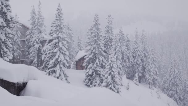 Камера Закрывает Деревянный Дом Сосновом Лесу Горах Время Сильной Снежной — стоковое видео