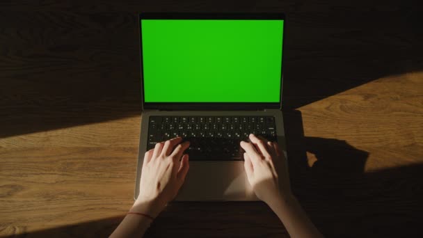 Kobiece Ręce Wchodzące Ramkę Spoczywające Klawiaturze Komputera Laptopa Chroma Key — Wideo stockowe