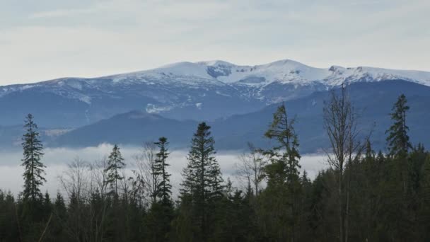 Panoramautsikt Över Den Snöiga Bergsryggen Dagsljus Mitten Hösten Eller Vintern — Stockvideo