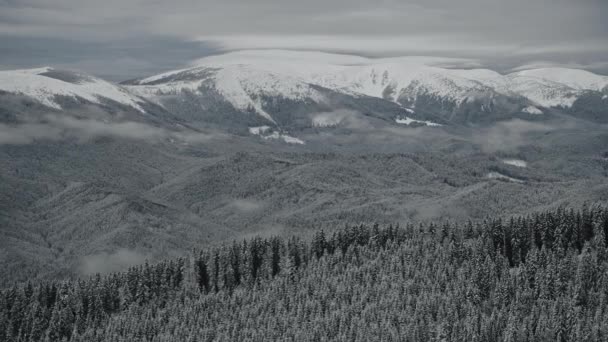 Живописный Зимний Пейзаж Горах Облаками Сверху Снизу Лесами Покрытыми Снегом — стоковое видео