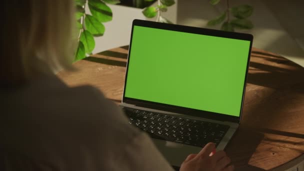 Handheld Shot Woman Watching Laptop Computer Green Screen Chroma Key — Stockvideo