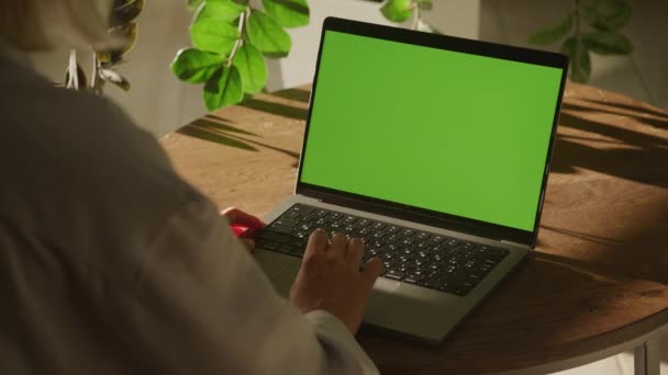 Handheld Close Woman Scrolling Laptop Computer Touchpad Green Screen Chroma — Stockvideo