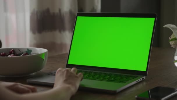 Kafkasyalı Bir Kadının Laptopun Üstünde Elini Dinlendirirken Yeşil Ekran Renkli — Stok video