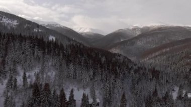 Scenic aerial view flying over mountains covered with forests in wintertime snowing