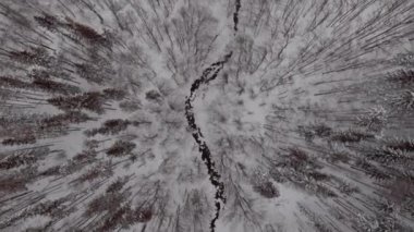 Top view of a river in the mountains surrounded by forest covered in snow in wintertime