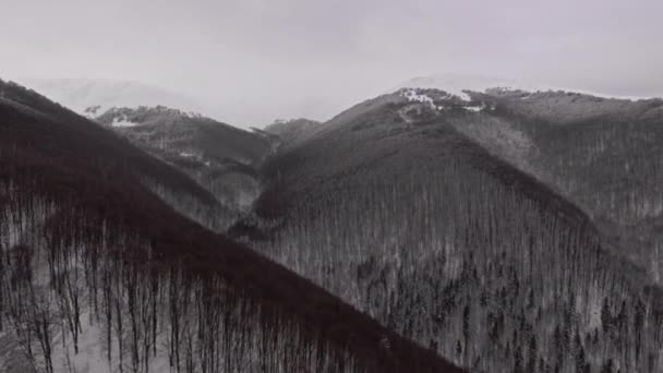 Aerial View Flying Mountains Covered Forests Snow Wintertime Carpathians — Stock Video