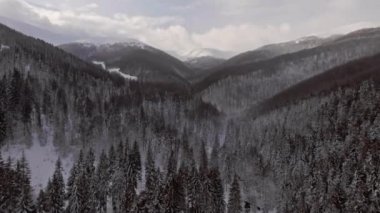 Aerial view flying over forests in the mountains in wintertime while snowing