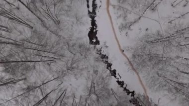Top view of a river in the mountains surrounded by forest covered in snow during winter