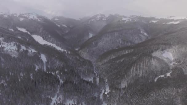Aerial View Flying Forests Mountains Wintertime — Stok Video