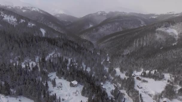 Aerial View Flying Forests Mountains Wintertime — Stock Video