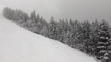 Moody mountain winter resort observed from chairlift with a ski slope and forest covered in snow