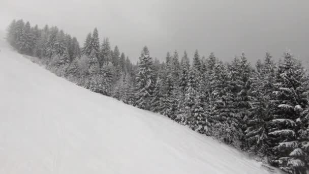 Moody Mountain Winter Resort Observed Chairlift Ski Slope Forest Covered — Stok video