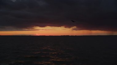 Seagull bird passing by a scenic river with storm sky clouds on a sunset in slow motion outside