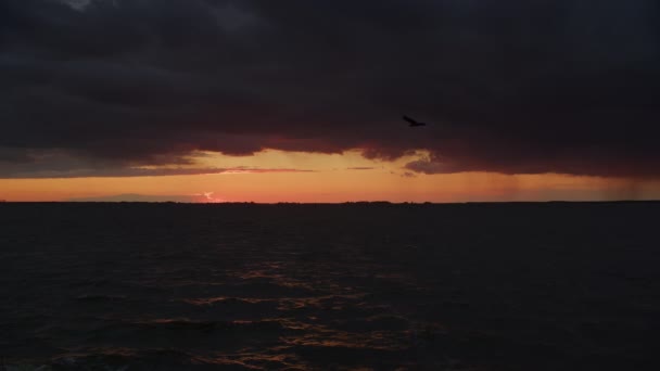 Seagull Bird Passing Scenic River Storm Sky Clouds Sunset Slow — 图库视频影像