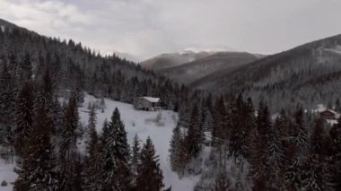Aerial view flying over the forests in the wintertime mountains while snowing with a scenery