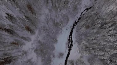 Top view flying over forest cabins covered in snow over a river in wintertime