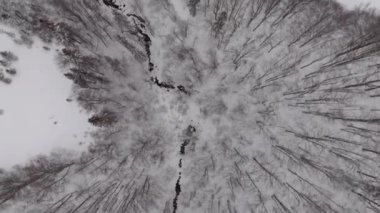 Top view of a river in the mountains surrounded by forest covered in snow in winter