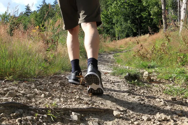 A hiker walks along a rocky path. Outdoor shoes with non-slip soles. Man in the woods. Plants, trees, grass.