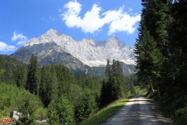 Ormanın çevresindeki patika, Alplerin kayalık tepelerinin manzarası. Taşlı yol, yeşil çayırlar ve ormanlar. Arka plandaki kayalık Dachstein sıradağları. Yaz güneşli bir gün. Avusturya Alpleri.