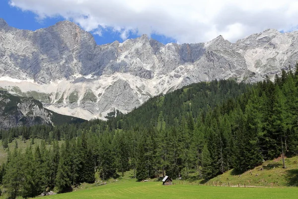 Ahşap barakanın etrafını sarın. Dachstein buzulunun altındaki Alplerin ormanları, dağları ve kayalık zirveleri.
