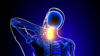 Tıbbi Konsept için boyun eklem ağrısı anatomisi 3 boyutlu resim